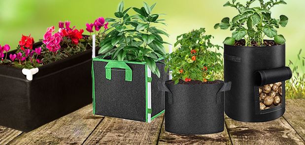 Phát triển túi & giường