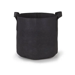 Chậu trồng vải thủy canh 25 gallon