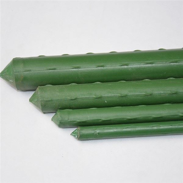 Hoa Leo Stand Garden Plant Hỗ trợ Spiral Tomato Stakes